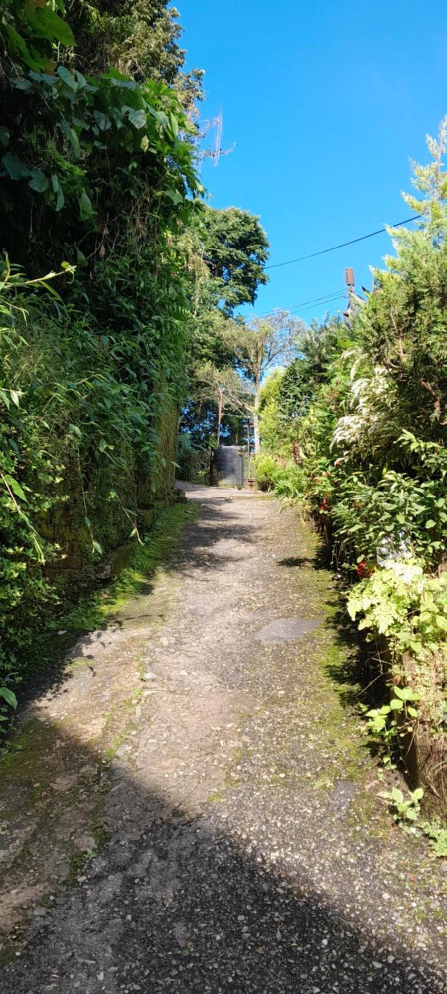 Seven Hills Homestay Kalimpong Quarto foto